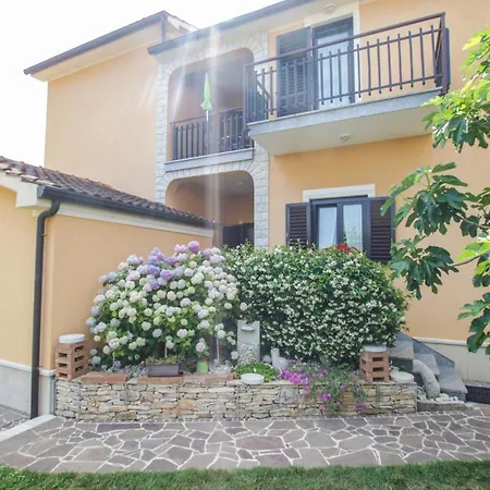 Cvitan 1. Floor 포레치