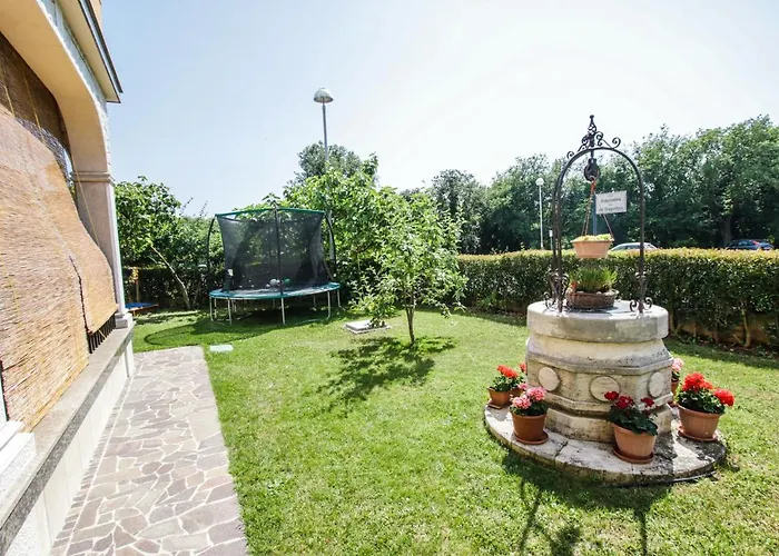 Cvitan 1. Floor بوريتش